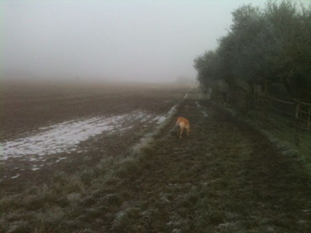 Mud Mud Glorious Mud