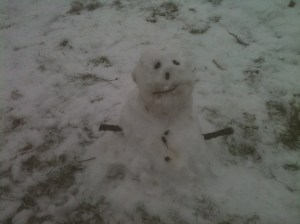 Not so typical Spring weather....