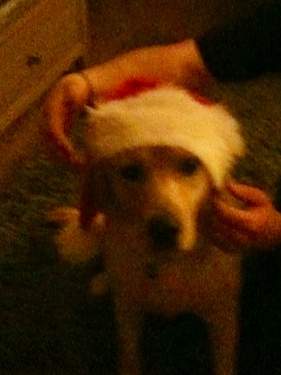 Santa Chester - Sorry was unable to airbrush out the hands.