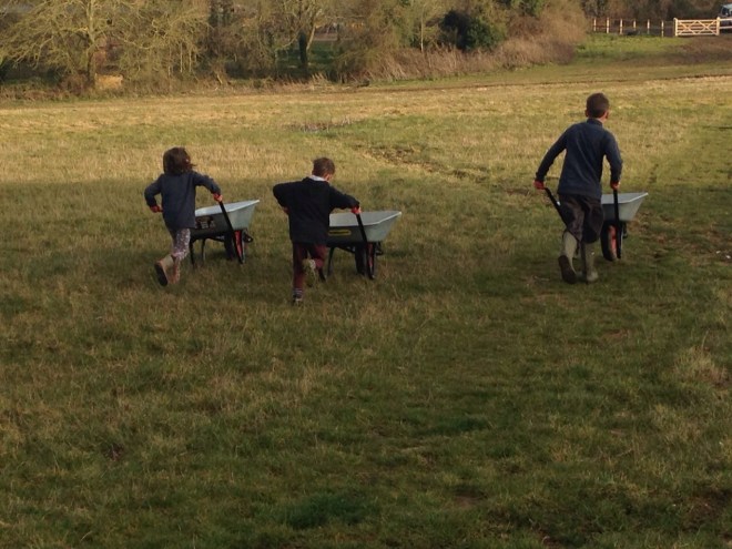 The Children earning their keep!